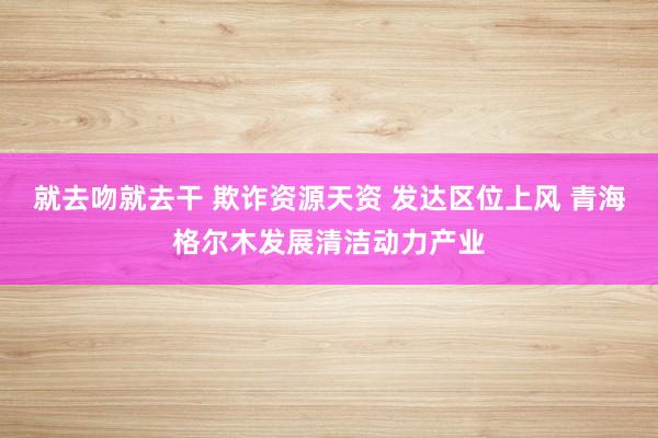 就去吻就去干 欺诈资源天资 发达区位上风 青海格尔木发展清洁动力产业