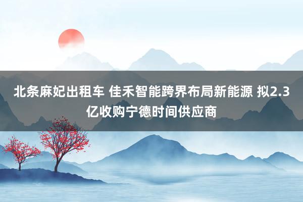 北条麻妃出租车 佳禾智能跨界布局新能源 拟2.3亿收购宁德时间供应商