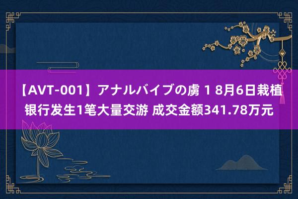 【AVT-001】アナルバイブの虜 1 8月6日栽植银行发生1笔大量交游 成交金额341.78万元