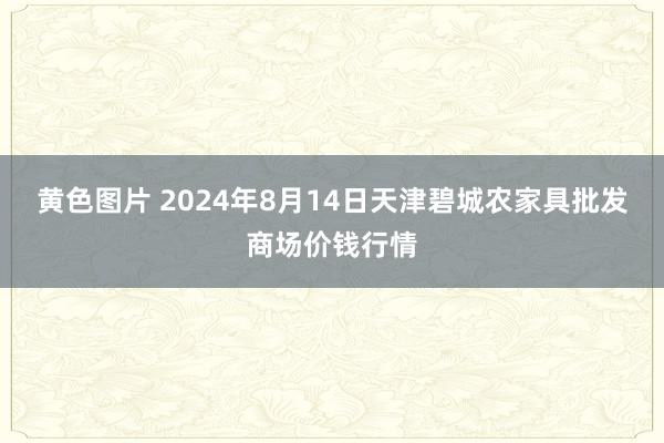 黄色图片 2024年8月14日天津碧城农家具批发商场价钱行情