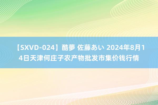 【SXVD-024】酷夢 佐藤あい 2024年8月14日天津何庄子农产物批发市集价钱行情