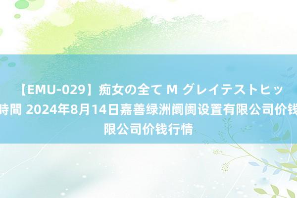 【EMU-029】痴女の全て M グレイテストヒッツ 4時間 2024年8月14日嘉善绿洲阛阓设置有限公司价钱行情