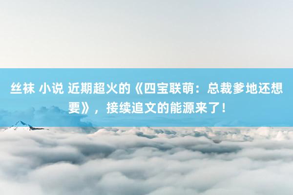 丝袜 小说 近期超火的《四宝联萌：总裁爹地还想要》，接续追文的能源来了！