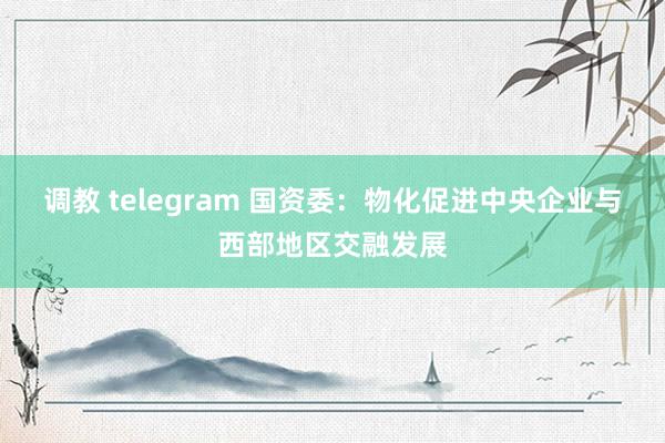 调教 telegram 国资委：物化促进中央企业与西部地区交融发展