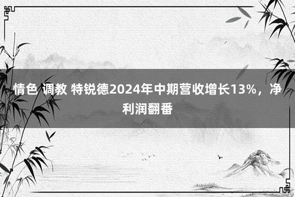 情色 调教 特锐德2024年中期营收增长13%，净利润翻番