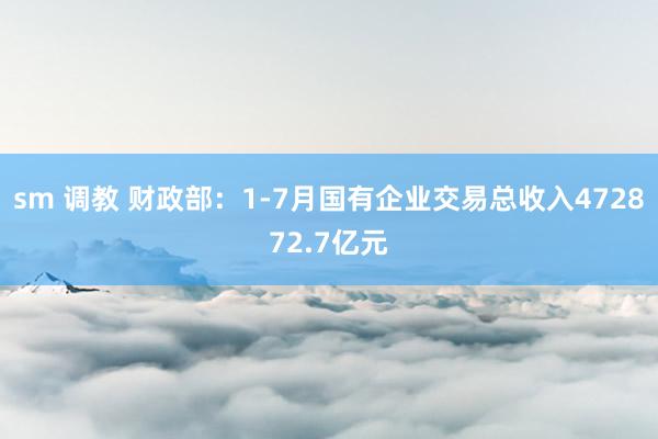 sm 调教 财政部：1-7月国有企业交易总收入472872.7亿元