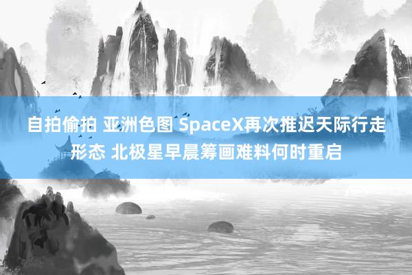 自拍偷拍 亚洲色图 SpaceX再次推迟天际行走形态 北极星早晨筹画难料何时重启