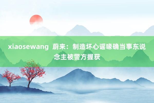 xiaosewang  蔚来：制造坏心谣喙确当事东说念主被警方握获