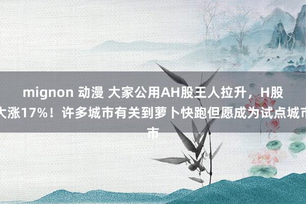 mignon 动漫 大家公用AH股王人拉升，H股大涨17%！许多城市有关到萝卜快跑但愿成为试点城市